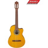  GITARA KL. IBANEZ GA3ECE-OAM 4/4 Cijene
