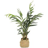 MID.YOU Umetna Rastlina Chamaedorea | Shoptok.si