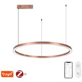  Immax NEO 07327L - LED prigušiva luster na sajli FINO 55W/230V 80 cm ružičasto zlato Tuya+DO | Eponuda.com