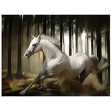  Tapeta - White chase 350x270 | shoptok.hr