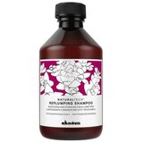 Davines S.p.A. , Italija. naturaltech replumping šampon 250ml cene