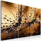  Slika - Dandelions and dew 120x80 Cijene