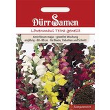 Dürr Samen Odolin Tetra Mix Cene