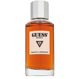 Guess Originals Type 3 Tobacco & Amberwood parfumirana voda unisex 100 ml | Shoptok.si