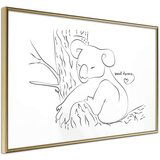  Poster - Resting Koala 60x40 Cijene