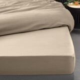 Douceur d intérieur Svetlo rjava napenjalna rjuha iz bombažnega perkala 160x200 cm Percaline – | Shoptok.si
