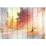  Samoljepljiva foto tapeta - Autumn Sun 392x280 | shoptok.hr