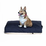 Pet Line Jastuk za psa četvrtasti Čarli M | ePonuda.com