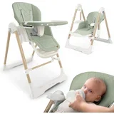 Elite 3-in-1 Green Highchair for Infants and Toddlers, (21740230)