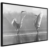  Poster - Black and White Herons 90x60 Cijene