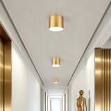  Immax NEO 07317L - LED prigušiva stropno svetlo RONDATE 18W/230V 11,5cm Wi-Fi Tuya zlatna | Eponuda.com