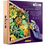  Okto set za modeliranje sukulenta 21 k 21 cm energia Cene