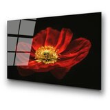 WALLXPERT dekorativna slika od kaljenog stakla cvetan cvet crvenog maka (uv 204) 70 x 100cm | ePonuda.com