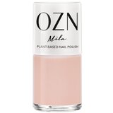  Lak za nohte, nude/sivi/rjavi odtenki - Mila Cene