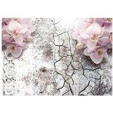  Tapeta - Bright red orchids 100x70 | shoptok.hr