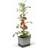 Gusta Garden Komplet rastlinskih loncev TOM TOMATO - svetlo siva Cene