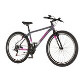 Visitor bicikl mtb radiance 29" 15" v-brake 21 brzina 167-192cm (l/xl) sivi 1290022 Cene