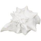 Ixia Kipić od polyresina (visina 13 cm) Seashell – Cijene