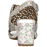 Maciejka N651811001 Srebrna | shoptok.hr