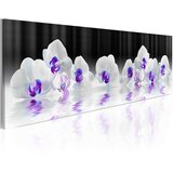  Slika - Water Orchids 135x45 Cijene