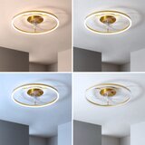 Brilagi LED prigušiva plafonski ventilator LED/66W/230V 55 cm bela/zlatna + daljinski upravljač | Eponuda.com