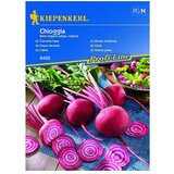 KIEPENKERL Sjeme povrća Cikla Chioggia (Beta vulgaris subsp. vulgaris, Berba: Kolovoz) Cijene
