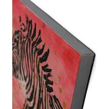 Kayoom SLIKA | Shoptok.si