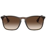 Ray-ban Unisex sunčane naočale Ray Ban RB 4187 SN Chris M Brown (smeđe) Cijene