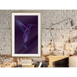  Poster - Fluorescent Hummingbird 20x30 | shoptok.hr