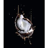 L´Oréal Paris Elseve Extraordinary Oil Coconut hranilna maska za normalne do suhe lase s kokosovim oljem 300 ml | Shoptok.si