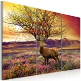  Slika - Fancy antler - triptych 90x60 Cijene