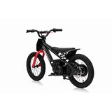 Ramiz Električno motorno kolo BAIGOR 23 Pro 250 W črna | Shoptok.si