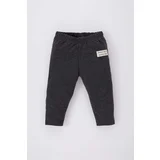 DEFACTO Regular Fit Elastic Band Pants