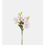 Sinsay Ukrasna umjetna biljka | shoptok.hr