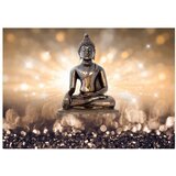  Tapeta - Golden Enlightenment 350x245 | shoptok.hr