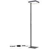 Globo STOJEČA LED-SVETILKA BARKER 4600 lm 4000 K | Shoptok.si