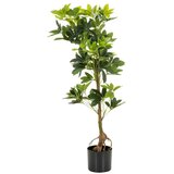 MID.YOU Umetna Rastlina Schefflera | Shoptok.si