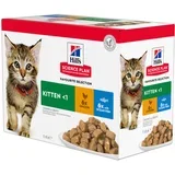 Plan Kitten tuna - Dodatno: 12 x 85 g Hill's Kitten mokra hrana piščanec & morska riba