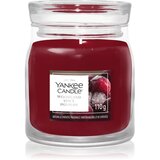 Yankee Candle Woodland Spice dišeča sveča 110 g Cene