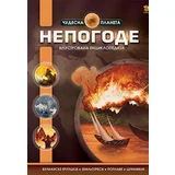 Bojan Hodžić Kosorić - Nepogode: ilustrovana enciklopedija