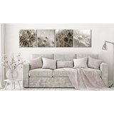  Slika - Grey Dandelion 40x40 | shoptok.hr