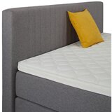 Mömax Postelja Boxspring Plura 160x200 Cm | Shoptok.si