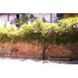  Gradić Mira pored Venecije, 1, 2 ili 3 noćenja s doručkom za 2 osobe u hotelu Relais Alcova del Doge*** Superior | shoptok.hr