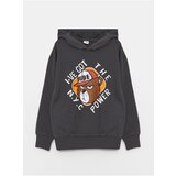 LC Waikiki Printed Long Sleeve Boys' Hoodie | ePonuda.com