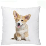 Butter Kings Dječji jastuk od pamučnog satena 45x45 cm The Cutest Ones – | shoptok.hr