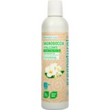 Greenatural Gel za prhanje z zelenim čajem in aloe vero - 250 ml | Shoptok.si