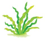  BOJE DRVENE-VODENE 36BOJE PLUS KIST PLUS ŠILJILO AQUARELL FABER CASTELL 114437 BLISTER | shoptok.hr