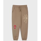 Sinsay Jogger trenirka hlače Spider-Man Cijene