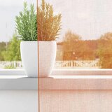 Voile zavjese s petljama 2 kom terakota 140x175 cm | Shoptok.si