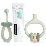 Suavinex Baby & Kids My First Dental Care Set darilni set za dojenčke in otroke Green | Shoptok.si